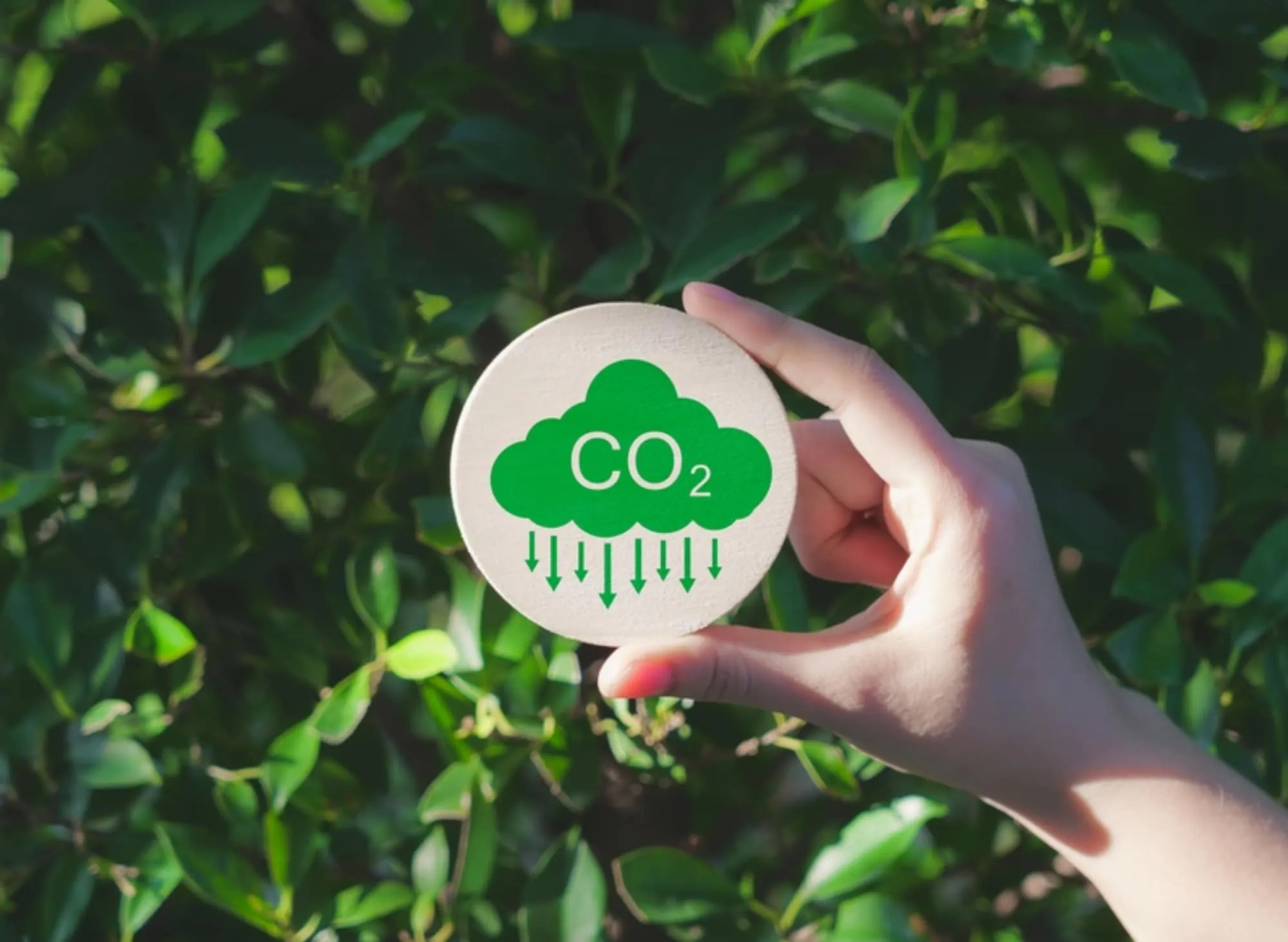 Environmental Stewardship