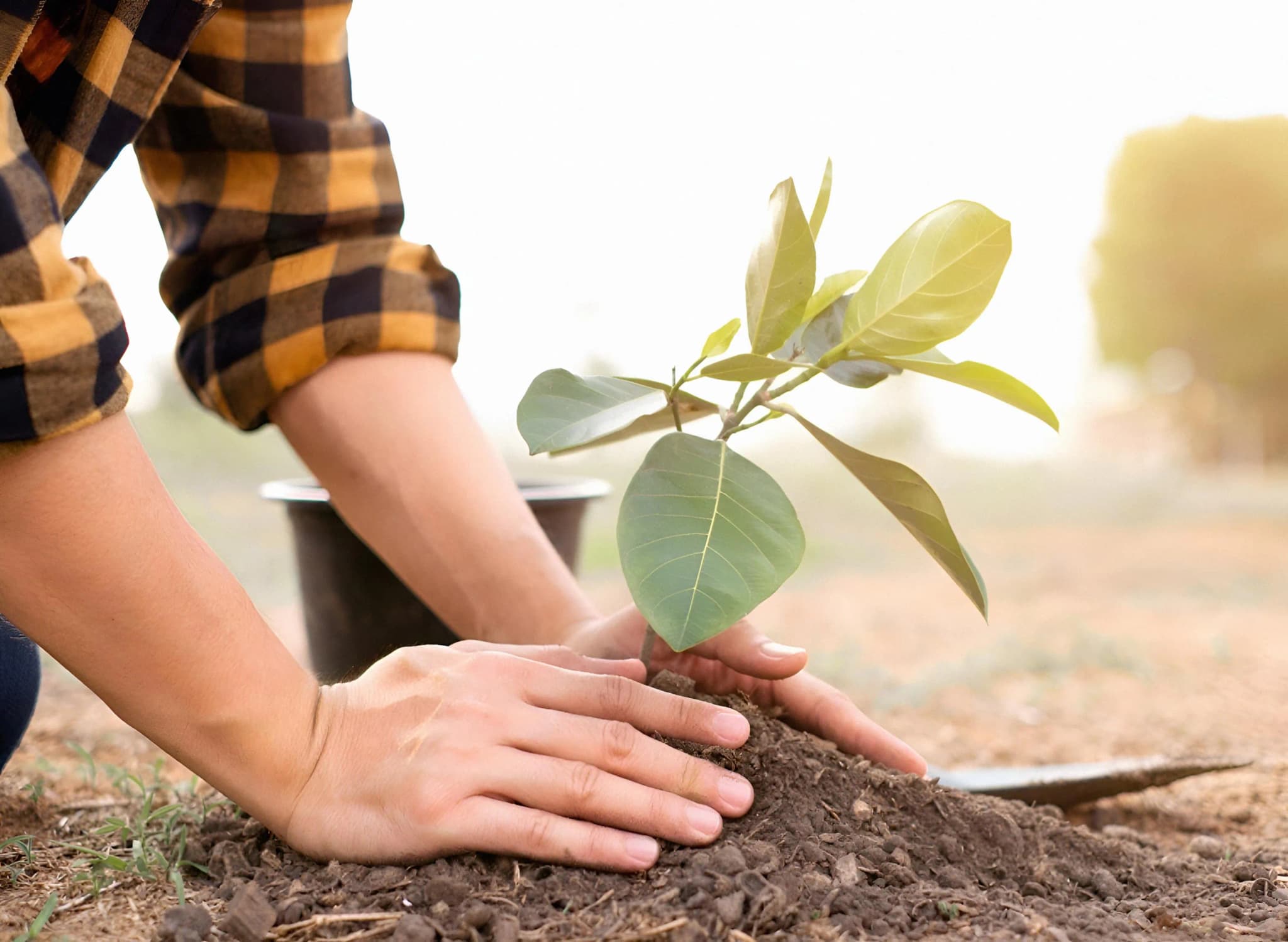 Environmental Stewardship