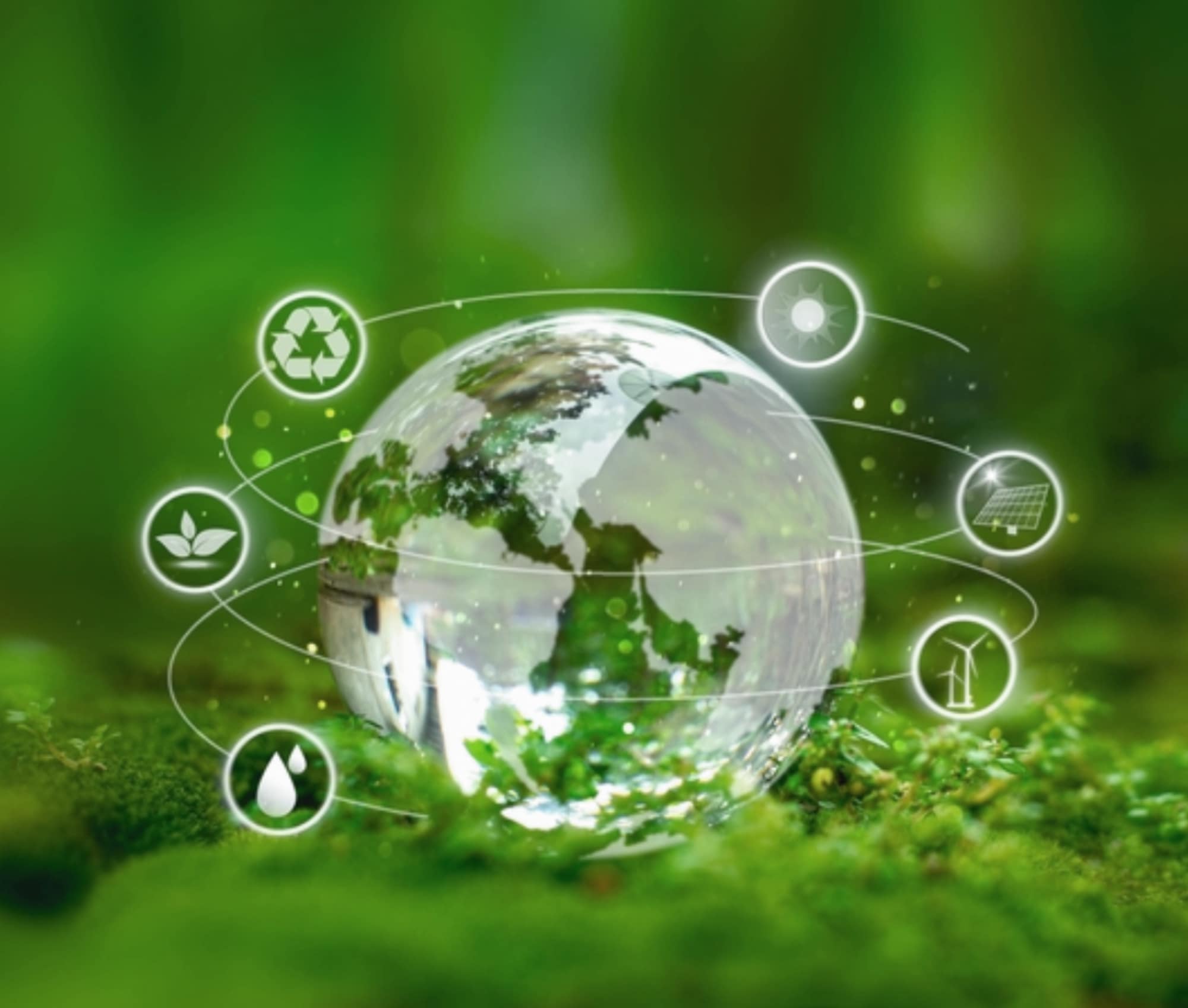 Renewable Energy Operations