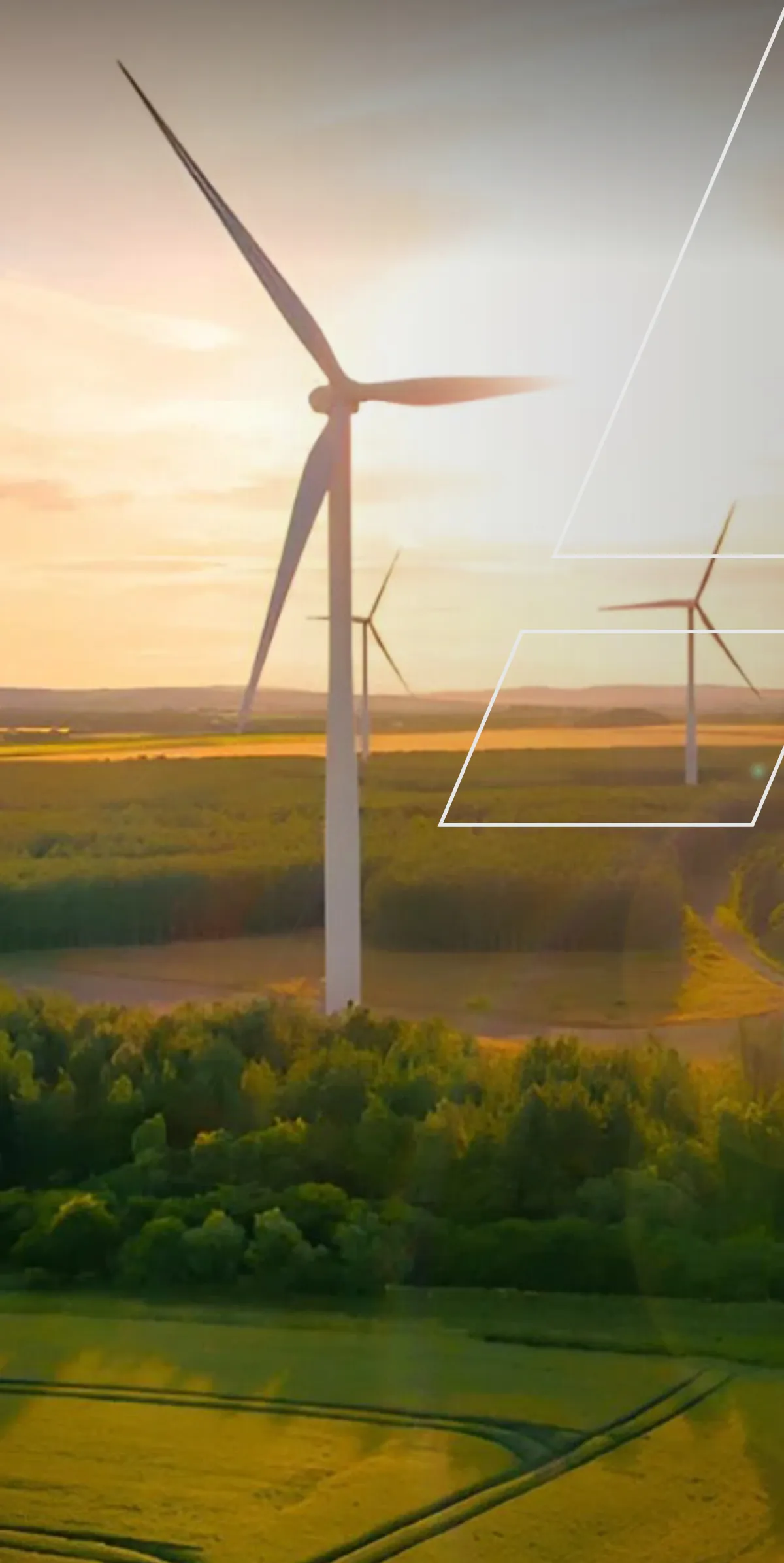 Grounded in Sustainability for a Better Planet